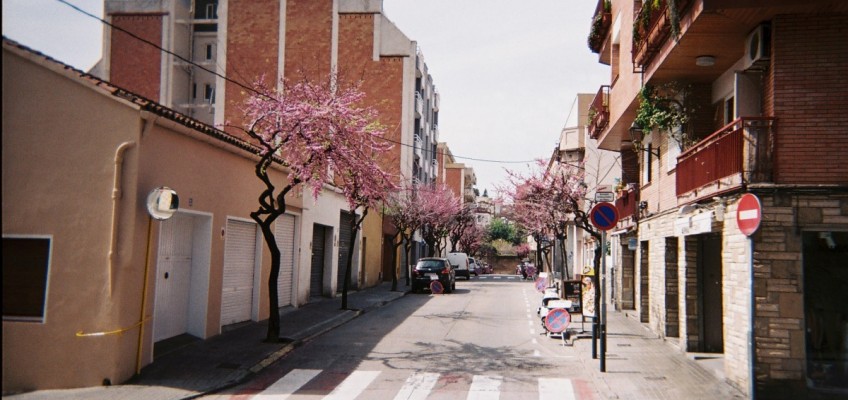 Vtisi iz treninga mladinskih delavcev I.D.E.A. ali Umetnost združuje